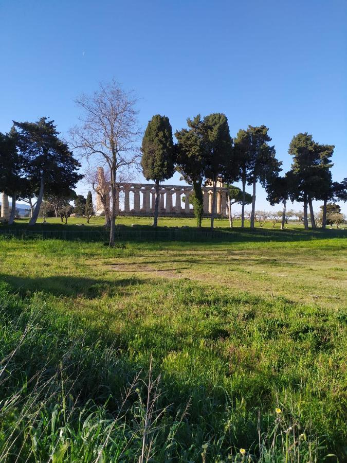 Goethe Paestum House Lejlighed Eksteriør billede